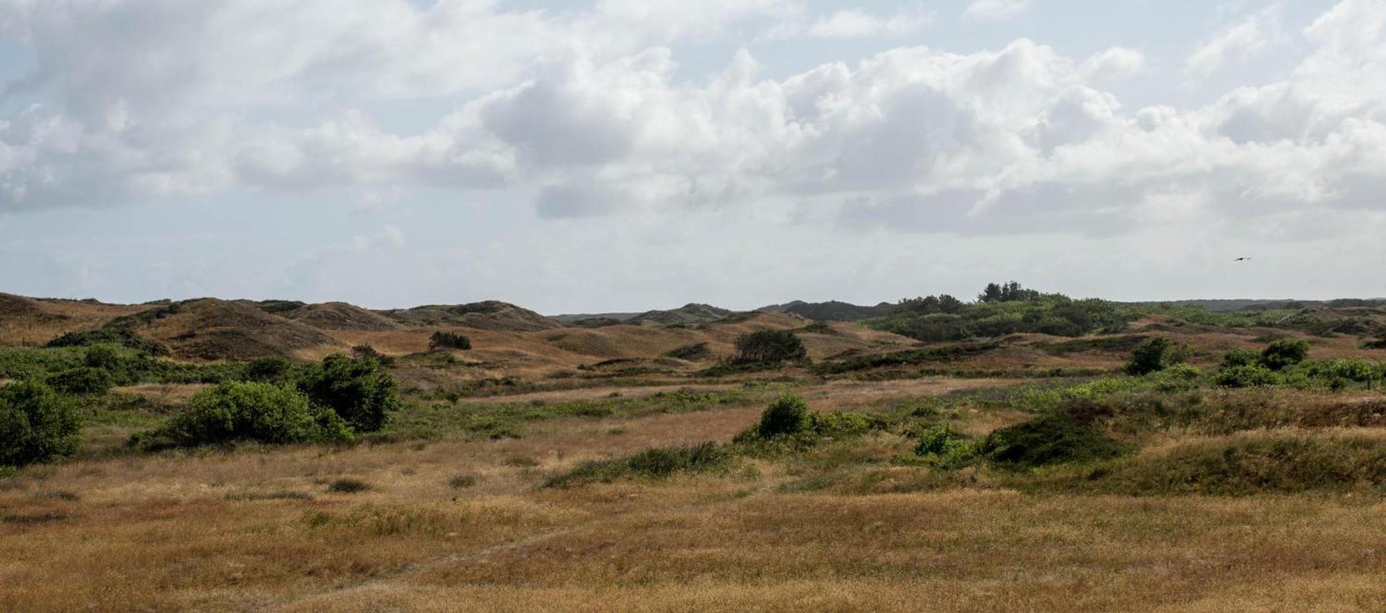 Duenenblick 3 Am Pirolatal Villa Langeoog Eksteriør bilde